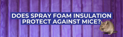 Does Spray Foam Insulation Protect Against Mice?